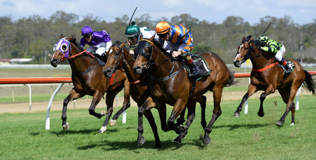 SUPERB EFFORT: Busselton, ridden by Jim Byrne (in orange cap), wins the Ipswich RSL Services Club Maiden last Wednesday. SUPERB EFFORT: Busselton, ridden by Jim Byrne (in orange cap), wins the Ipswich RSL Services Club Maiden last Wednesday.